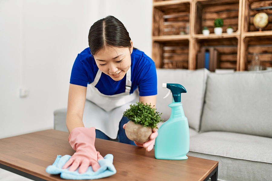 Domestic Maid Insurance Essential Protection for Your Household Staff